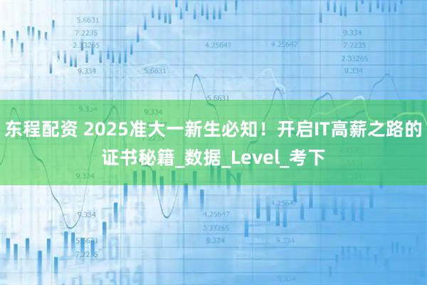 东程配资 2025准大一新生必知！开启IT高薪之路的证书秘籍_数据_Level_考下