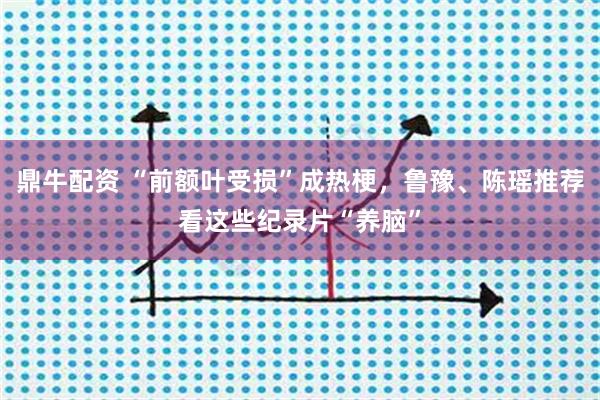鼎牛配资 “前额叶受损”成热梗,鲁豫、陈瑶推荐看这些纪录片“养脑”